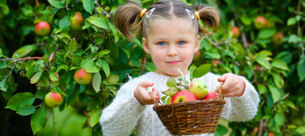 #GiveHealthy This Holiday Season